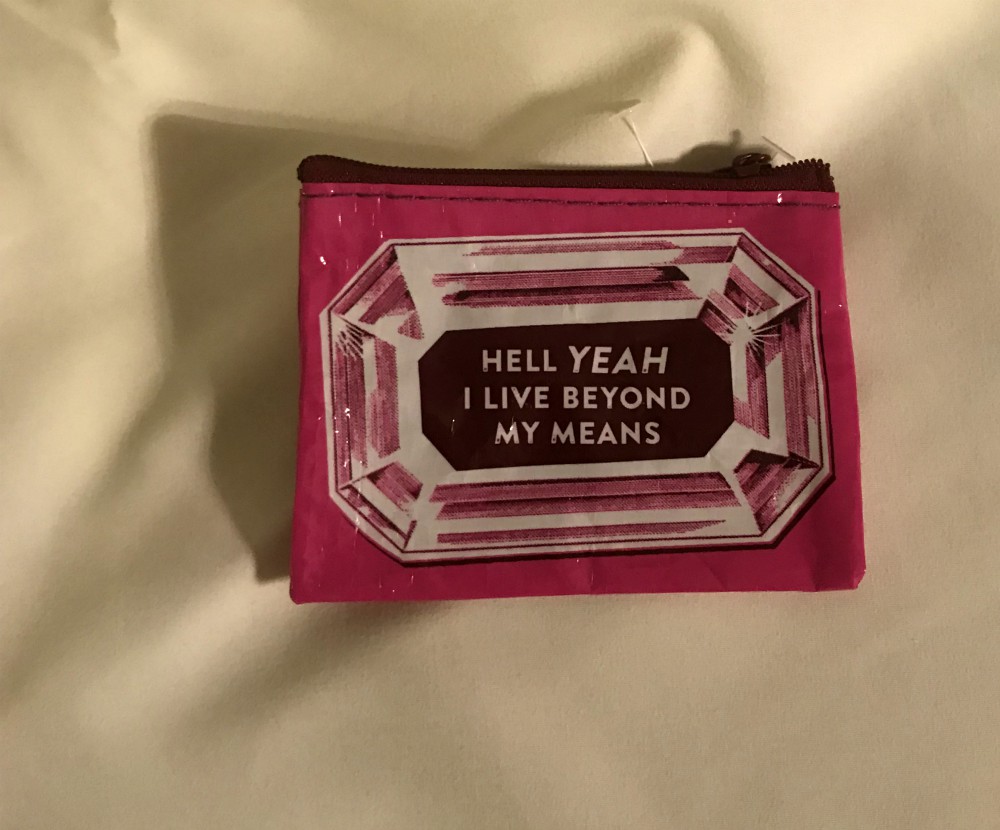 I Live Beyond My Means Coin Purse